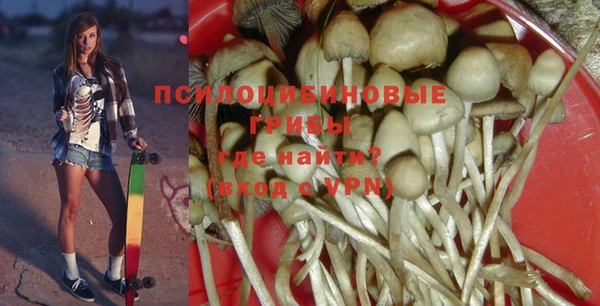 стаф Балахна