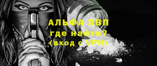 стаф Балахна