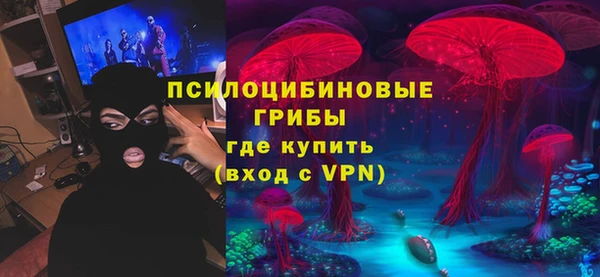 стаф Балахна